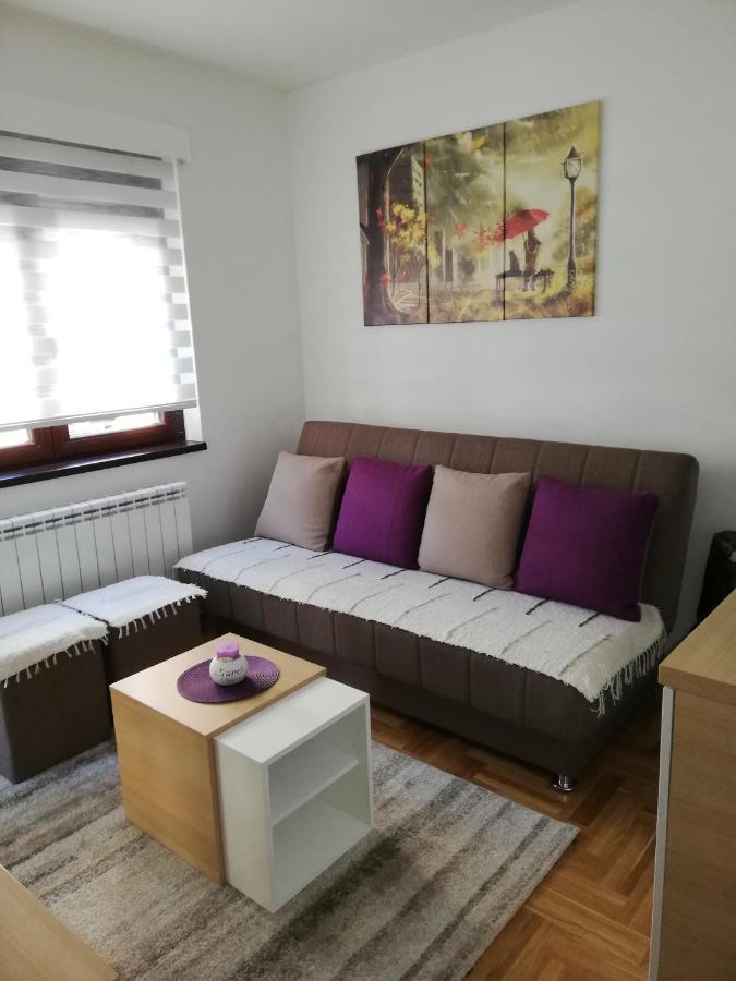 Apartman Milosevic ズラティボール エクステリア 写真