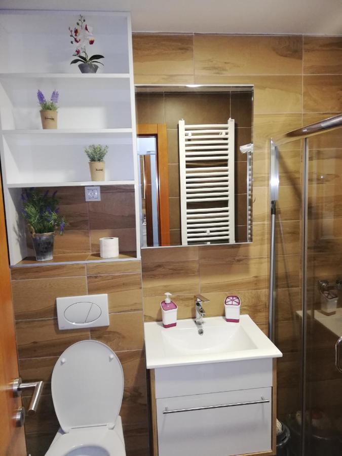 Apartman Milosevic ズラティボール エクステリア 写真