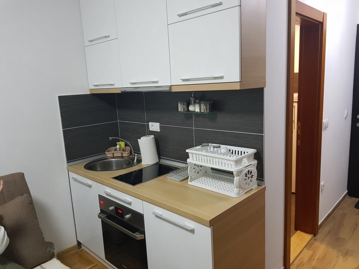 Apartman Milosevic ズラティボール エクステリア 写真