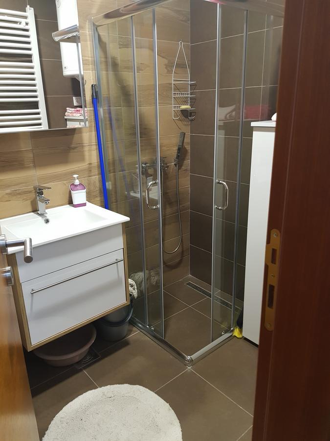 Apartman Milosevic ズラティボール エクステリア 写真